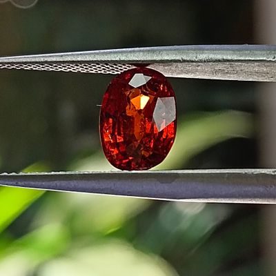 un gros plan sur un diamant rouge en train d'être taillé à l'aide d'une paire de pinces