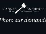 Photo 1/1 du lot