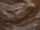 a close up view of a statue of a bear