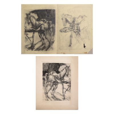 trois dessins représentant des chevaux et un homme dans une calèche