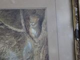 a picture of a cat that is sitting in a picture frame