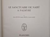 Photo 4/16 du lot