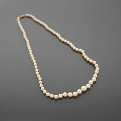 Collier d'un rang de perles de culture en chute allant de 4,…