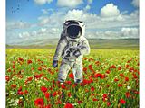 an astronaut in a field of poppies with birds flying in the background