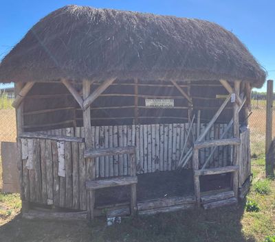 une petite cabane au toit de chaume au milieu d'un champ