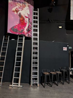 a ladder that is leaning against a wall with a picture of a woman on it