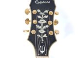 the headstock of an electric guitar with a floral design on it