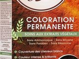color & son coloration permanente 4n nature nature
