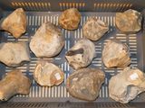 a lot of rocks that are in a box