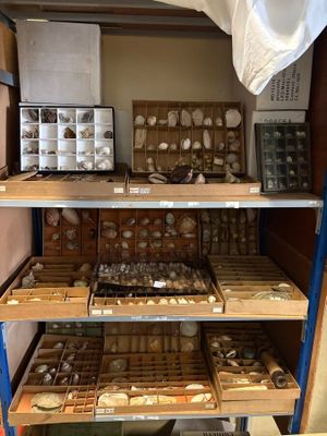 une étagère remplie d'objets de toutes sortes dans une pièce
