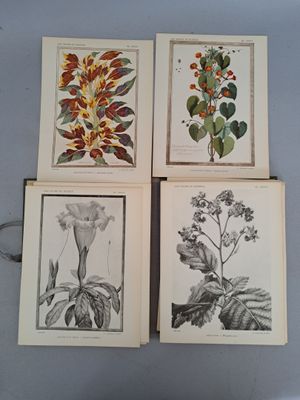 quatre cartes ornées de fleurs et de feuilles, posées sur une table