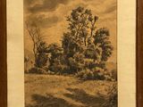 painting of a landscape with trees in a wooden frame on a wall