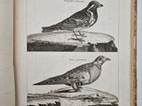 an old book with two birds sitting on top of it