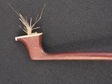 a pipe with a plant sticking out of it