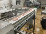 a conveyor belt with donuts on it in a factory