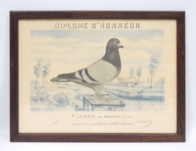 une photo d'un pigeon perché sur une boîte