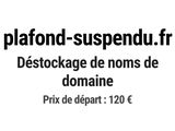 Photo 1/1 du lot