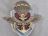 badge of the royal air force with a parachut on it