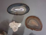 Photo 6/8 du lot