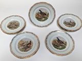 quatre assiettes sur lesquelles sont peints des oiseaux, posées sur un fond blanc