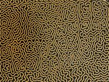un gros plan sur un tapis noir et doré orné d'un motif