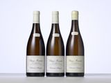 trois bouteilles de vin sont alignées sur une table