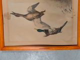 a picture of two ducks flying in the air