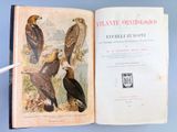 un livre ouvert sur lequel figure l'image de deux oiseaux