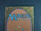 the back of a magic the gathering trading card with a picture of a cat on it