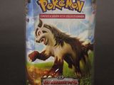 un gros plan sur une boîte de cartes à collectionner Pokémon posée sur une table