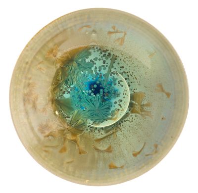 a glass bowl with a blue flower inside of it
