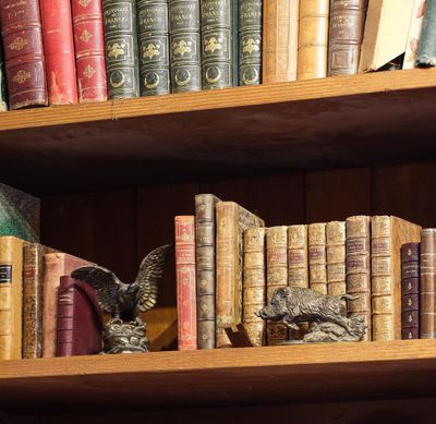 de nombreux livres qui se trouvent sur les étagères de la pièce