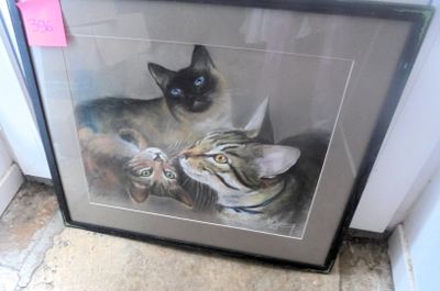 a picture of two cats that are sitting together