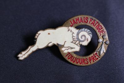un pin's avec l'image d'un bélier