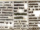 a lot of beetles that are on display in a display case