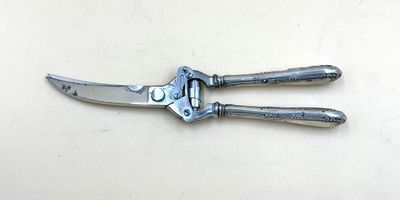 une photo d'une paire de pinces posée sur une table