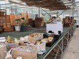 many boxes of food on a table in a greenhouse