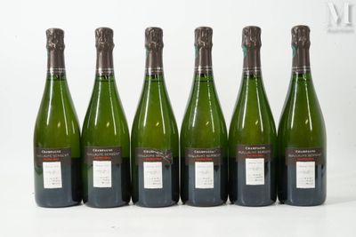 six bouteilles de vin sont alignées sur une surface blanche