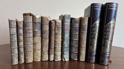 plusieurs vieux livres sont alignés sur une table en bois