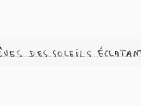 Photo 1/1 du lot