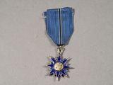 silver and blue medal with a star on it on a white surface