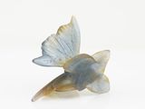 a small fish that is sitting on a white surface