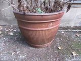 une plante posée dans un pot posé par terre
