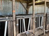 plusieurs stalles munies de barres métalliques dans une grange