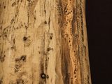 a close up of a piece of wood with a hole in it