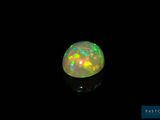 a close up of a white oplite in the dark