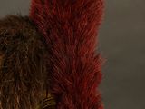 a gold helmet with a red feather on top of it