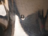 a close up of a metal object with a blurry background