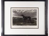 an old picture of a dog standing in a field with a sky background