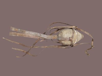 un objet d'aspect très ancien qui ressemble à un œil humain